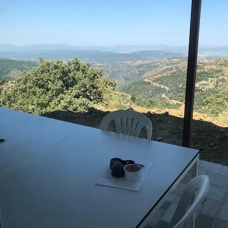 Payamli Conteiner House Campismo de Luxo *